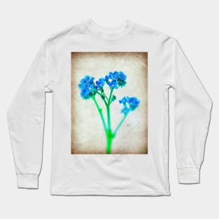 Forget Me Not Flower Long Sleeve T-Shirt